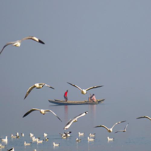 Photo #5020899