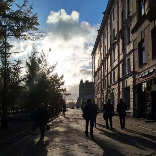 Photo #5020902