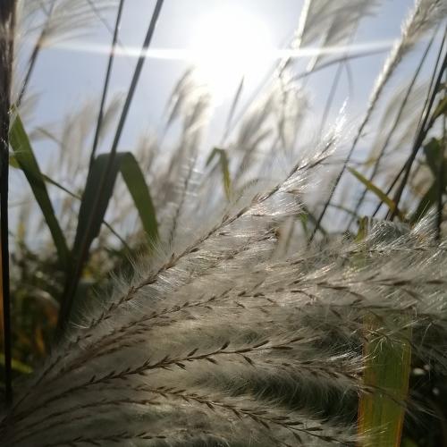 Photo #5021006