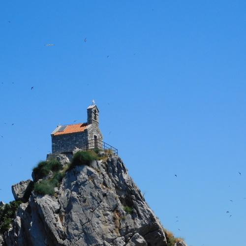 Photo #5021267