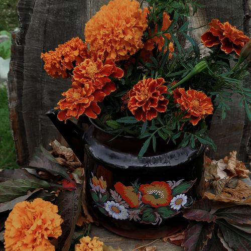 Photo #5021610