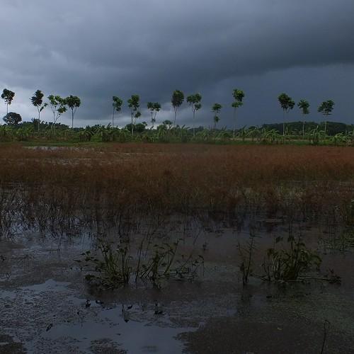 Photo #5021869