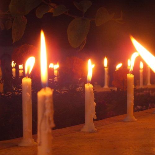 Photo #5021909
