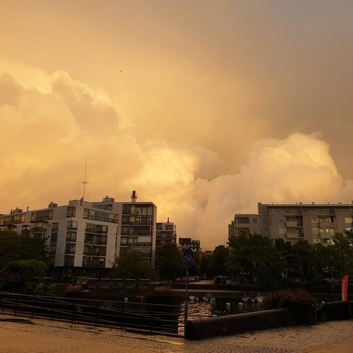Yellow day