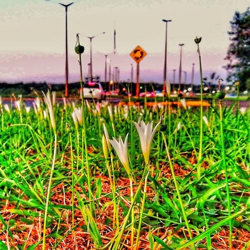 Photo #5022040