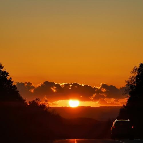 Photo #5022126