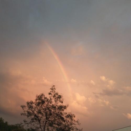 Photo #5022518