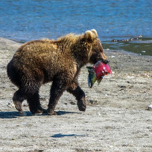 Photo #5022567