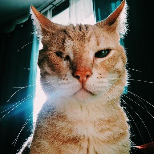 Photo #5022901