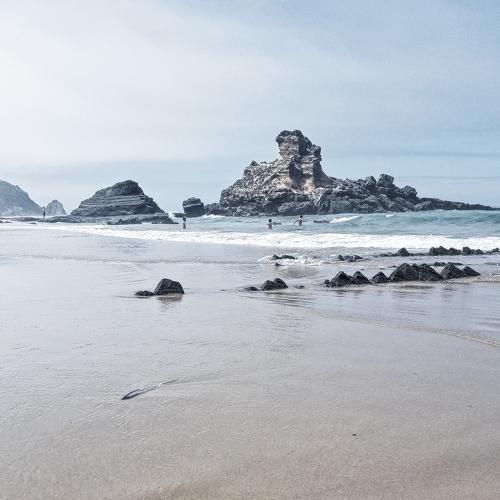 Photo #5022955
