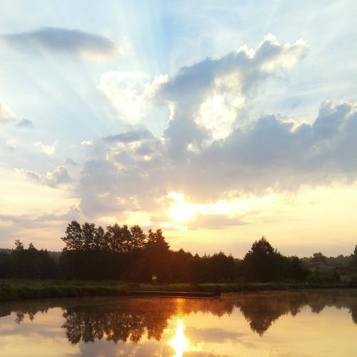 Photo #5022991