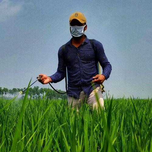 Farmers are giving medicine to the land.