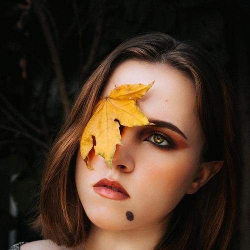 Photo #5023463