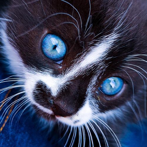 Photo #5023513