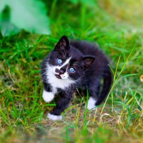Photo #5023514