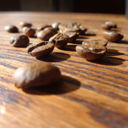 Photo #5023702