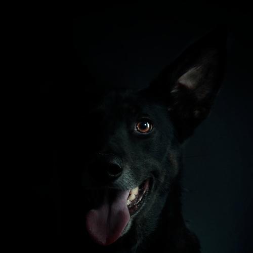 Photo #5023859