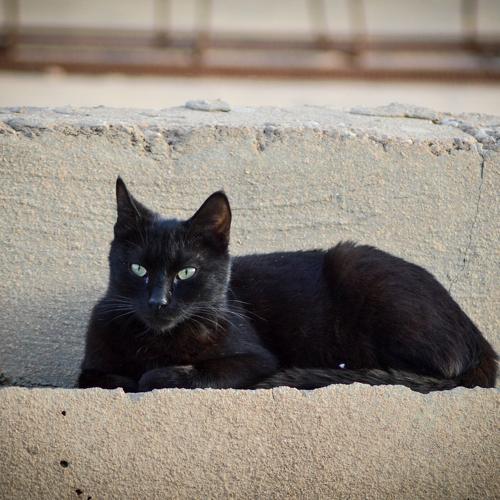 Photo #5024572