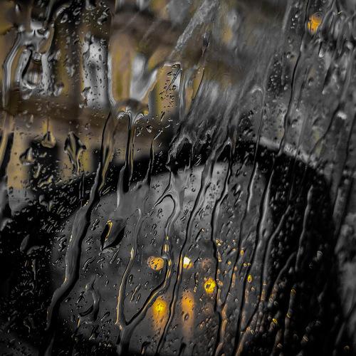 Photo #5024972