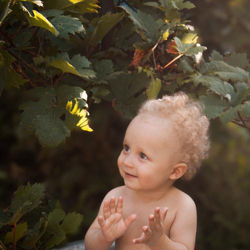 Photo #5025300