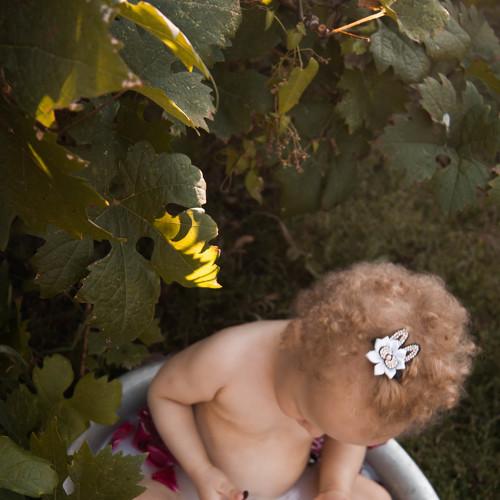 Photo #5025314