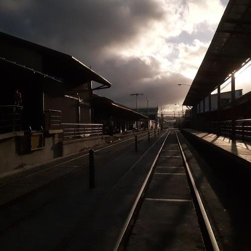 Photo #5025338