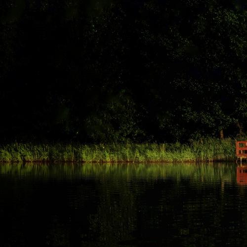 Photo #5025388