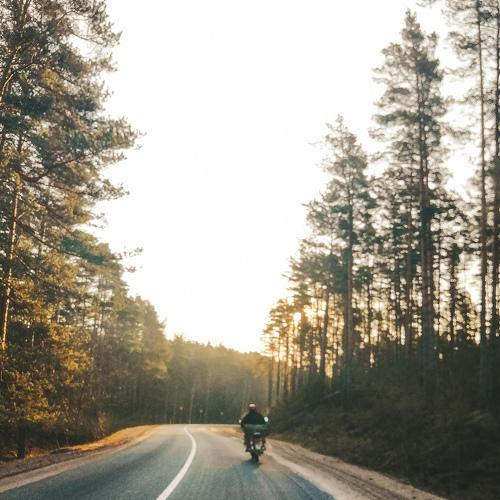 Photo #5025486