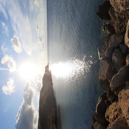Photo #5025772