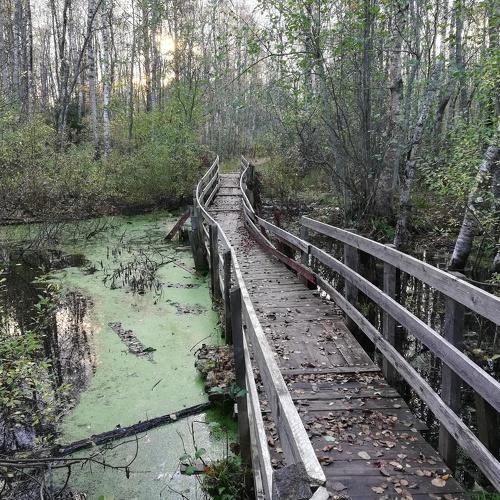 Photo #5025815