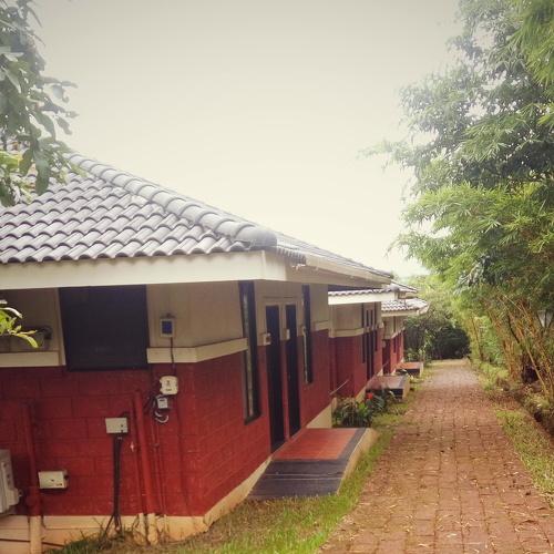 Photo #5025850