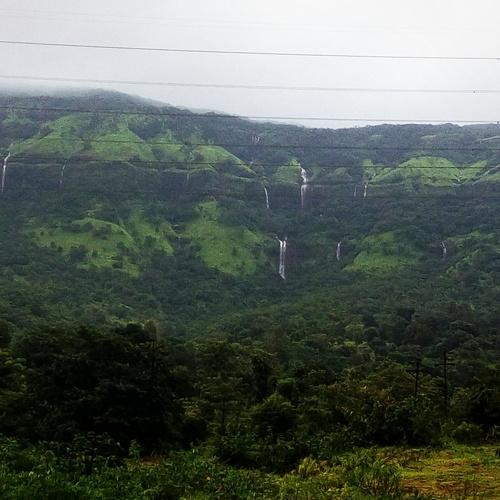 Photo #5025858