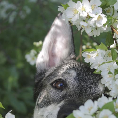 Photo #5026128