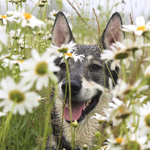 Photo #5026131