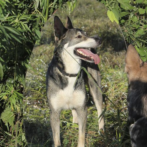 Photo #5026135