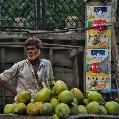 The Coconut Vendor