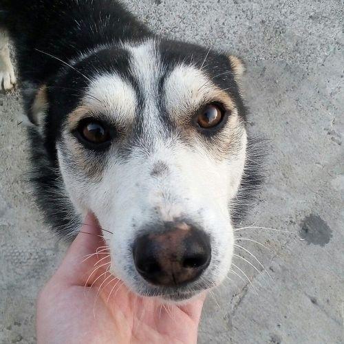 Photo #5026359