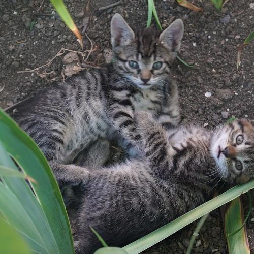 Photo #5026367