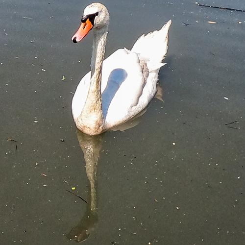 Photo #5026421