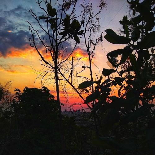 Photo #5026642