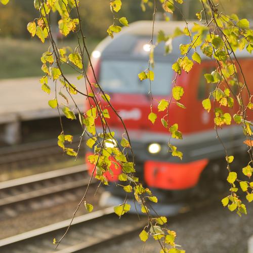 Осенняя электричка.