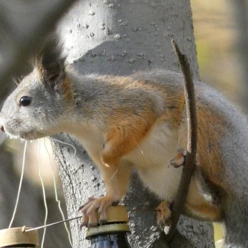 Photo #5027617