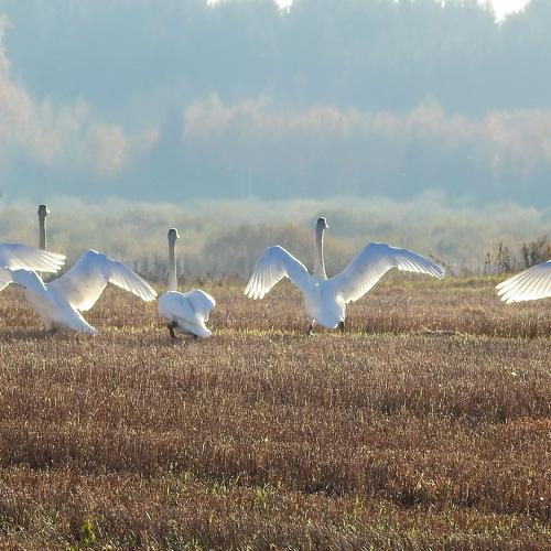 Photo #5027663