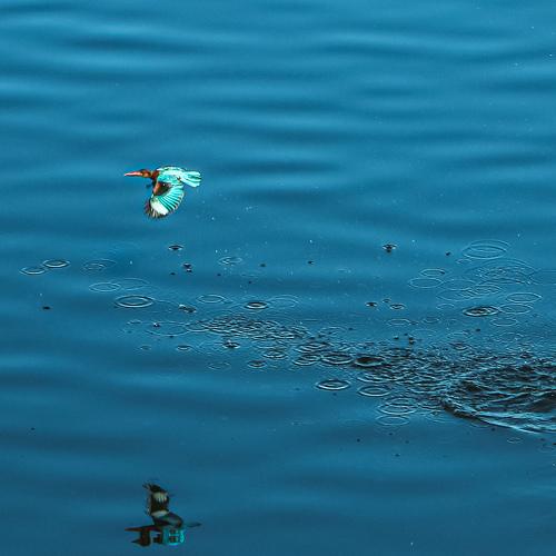 Photo #5027745