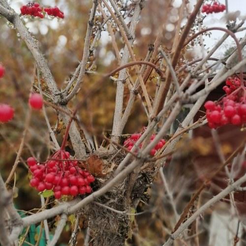 Photo #5027823
