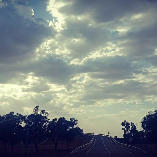 Photo #5028673