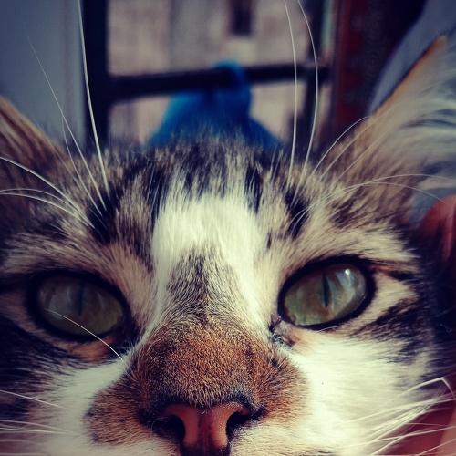 Photo #5028681