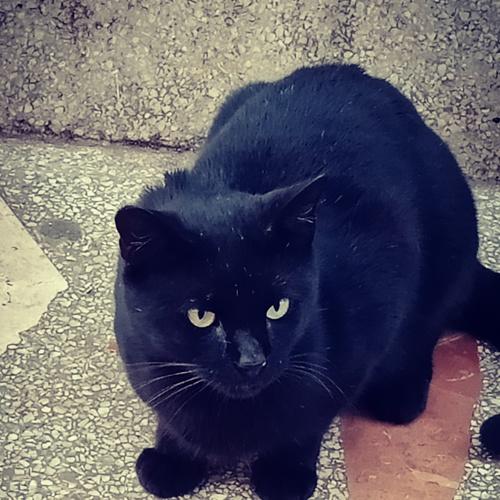 Photo #5028688