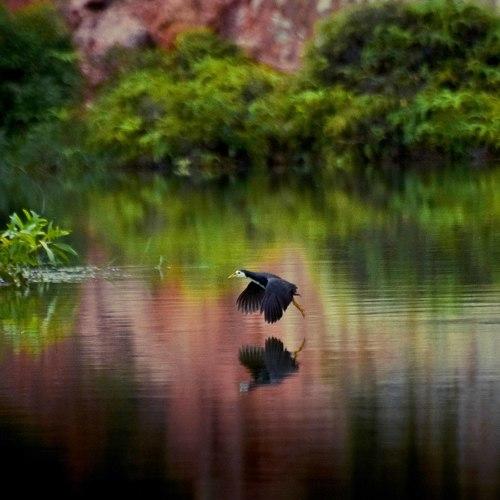 Photo #5028789