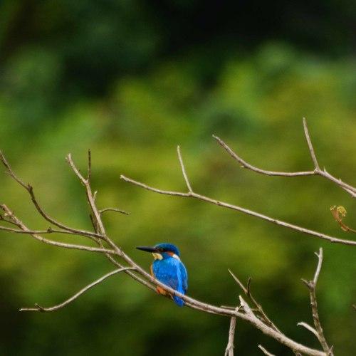 Photo #5028804